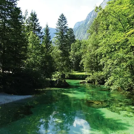 Amazing Apartment In Bohinjska Bistrica With 2 Bedrooms And Wifi